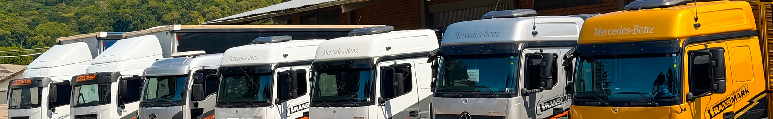 Banner da página Frota